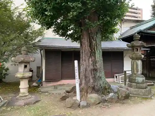 富士浅間神社(愛知県)