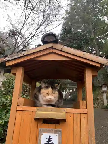 唐澤山神社の動物