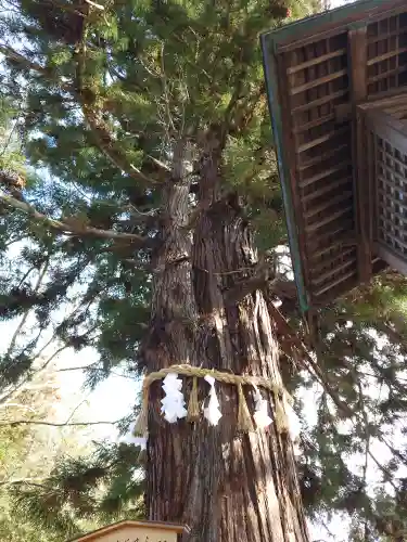 諏訪大社下社秋宮(長野県)