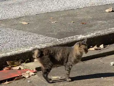 対馬四十四番札所(長崎県)