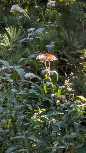 行願寺（革堂）(京都府)