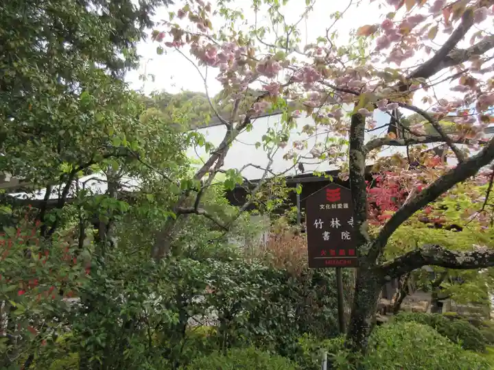 竹林寺(高知県)