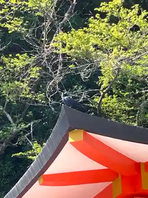 御縣彦社(和歌山県)