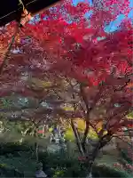 榮攝院(栄摂院)(京都府)