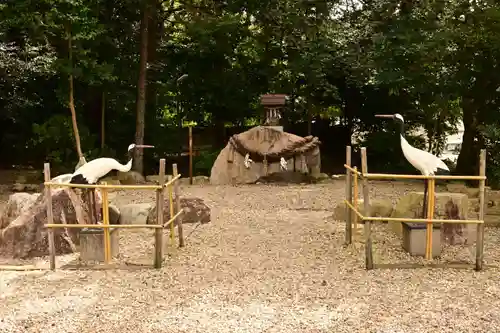 石見国一宮　物部神社(島根県)