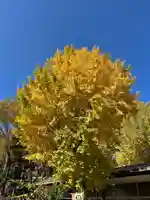 小野神社(東京都)