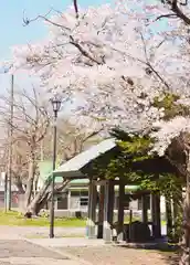 岩内神社の建物その他