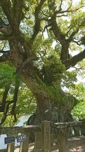 與止日女神社の自然