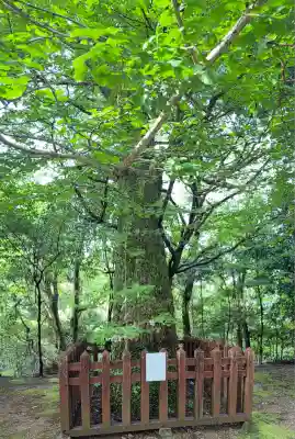 二上神社(宮崎県)
