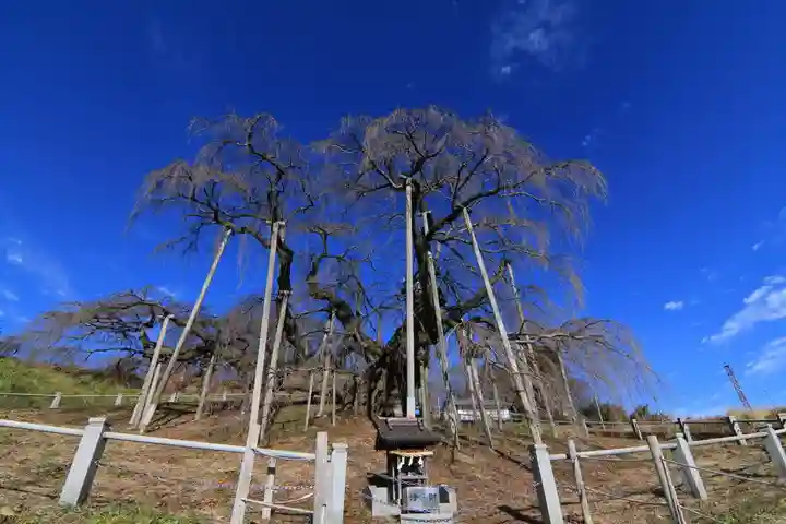 瀧桜神明宮の本殿・本堂
