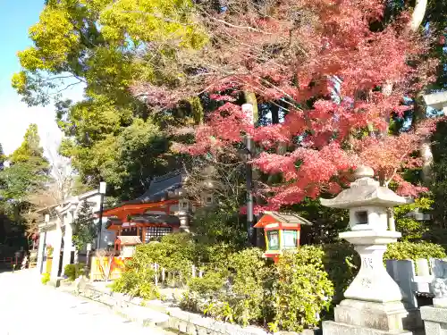 八坂神社(祇園さん)の景色