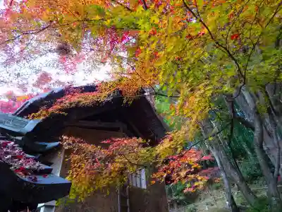 教林坊(滋賀県)