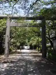 亀戸 香取神社の鳥居