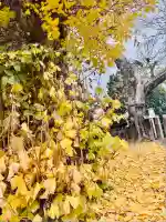 宇賀神社(京都府)