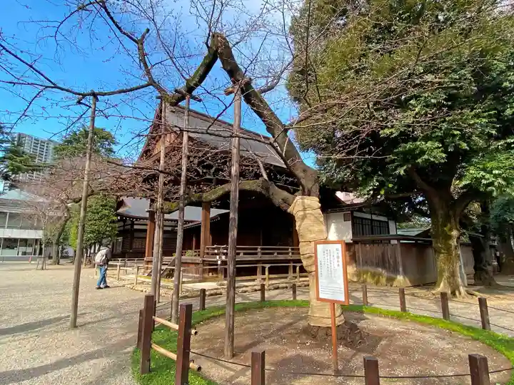 靖國神社の自然