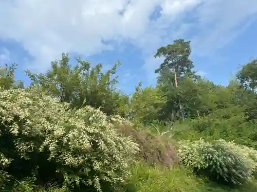 国宝 大法寺の御朱印