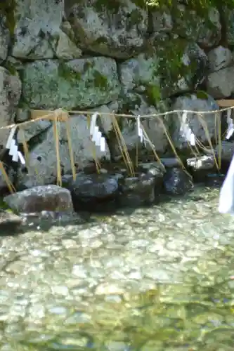賀茂御祖神社（下鴨神社）(京都府)