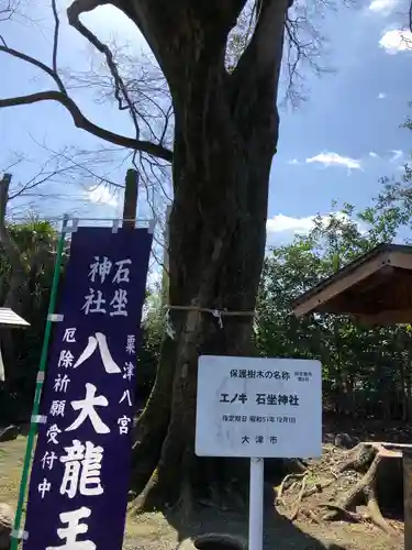 石坐神社の自然