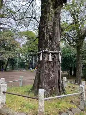 赤坂氷川神社(東京都)