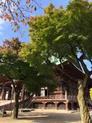 護国寺の本殿・本堂