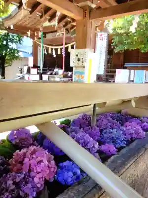 鳩森八幡神社の手水舎