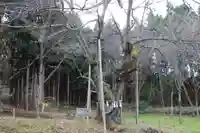 王子神社の自然