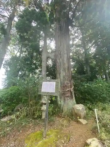 熊野那智神社(宮城県)