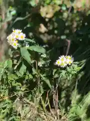 木舟山　順教寺の自然