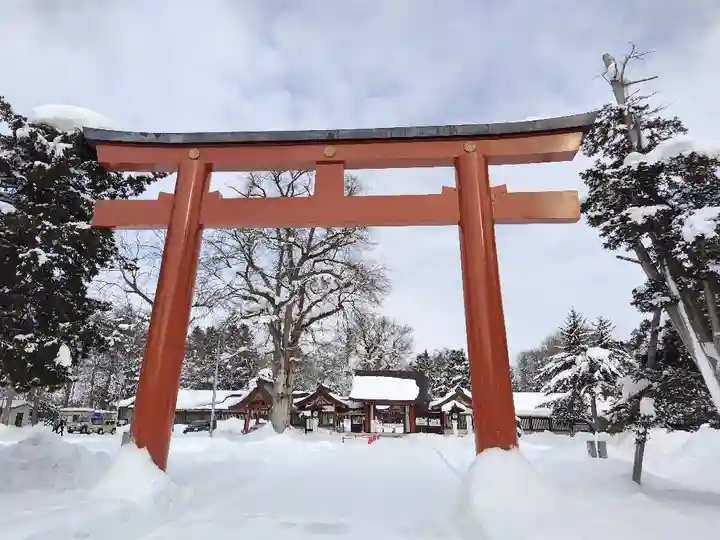 北海道護國神社の鳥居