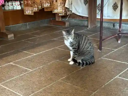 王子神社(徳島県)