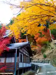 温泉寺(岐阜県)