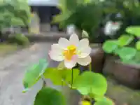 伊勢の国 四天王寺の自然