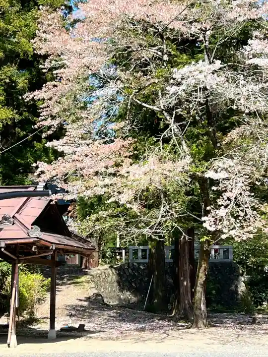 立野神社の{uncategorized: "未分類", other: "その他", undefined: "問題あり", building: "その他建物", grave: "お墓", sacred_gate: "鳥居", guardian: "狛犬", statue: "像", buddha: "仏像", history: "歴史", nature: "自然", garden: "庭園", animal: "動物", pagoda: "塔", temizu: "手水舎", mountain_gate: "山門・神門", sanctuary: "本殿・本堂", subordinate: "末社・摂社", art: "芸術", scenery: "景色", jizo: "地蔵", ema: "絵馬", goshuin: "御朱印", omikuji: "おみくじ", items: "授与品その他", amulet: "お守り", goshuincho: "御朱印帳", eats: "食事", festival: "お祭り", votive_dance: "神楽", shichigosan: "七五三参", wedding: "結婚式", experience: "体験その他", initially: "初詣", around: "周辺", anti_infection: "感染症対策"}