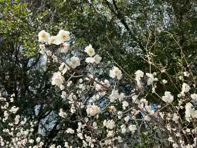 國分八幡宮(香川県)