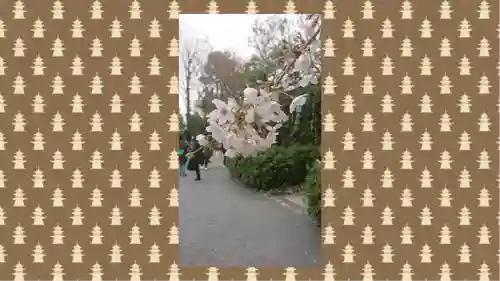 阿佐ヶ谷神明宮(東京都)