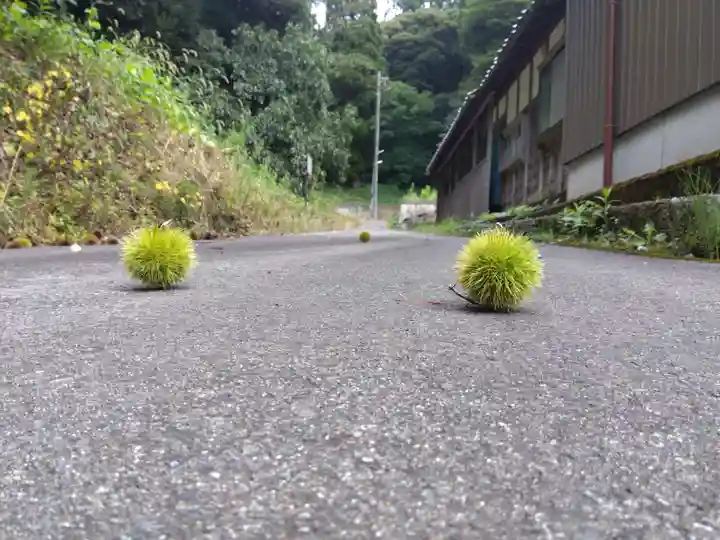 指中神社(福井県)