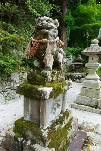 高天彦神社の狛犬