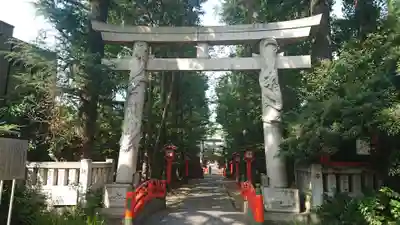 馬橋稲荷神社の鳥居