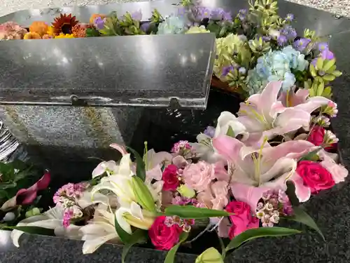 新琴似神社の手水舎