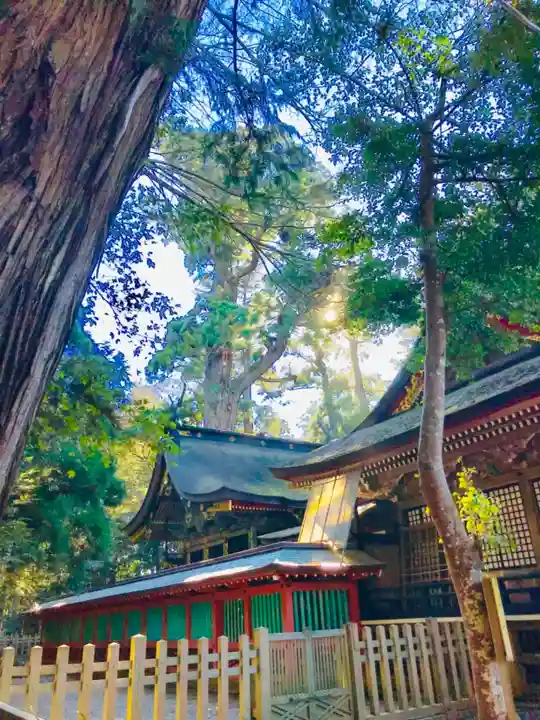 鹿島神宮の本殿・本堂