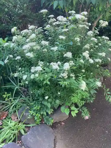 安楽寺(神奈川県)