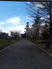 新篠津神社の建物その他