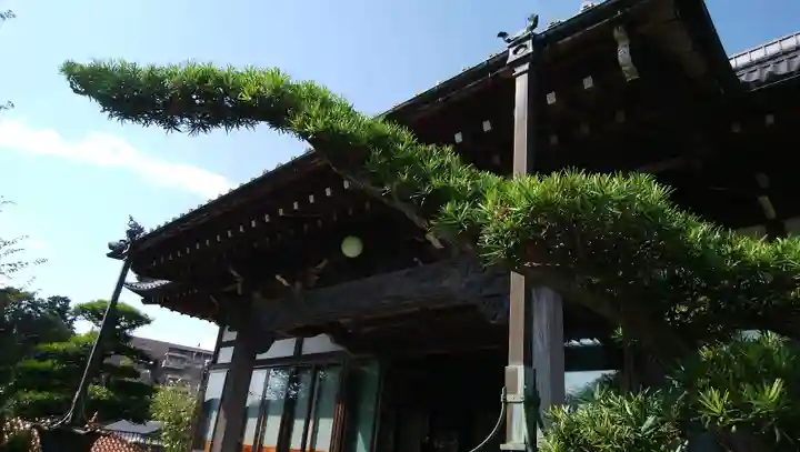 寶林寺の本殿・本堂