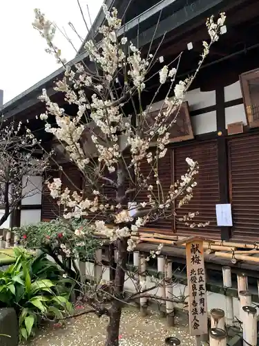 大阪天満宮(大阪府)