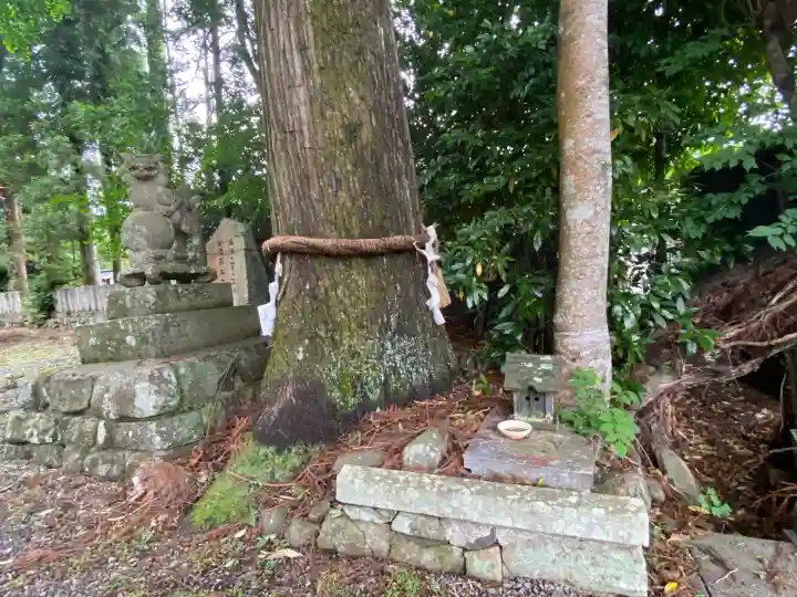 高殿神社(愛媛県)