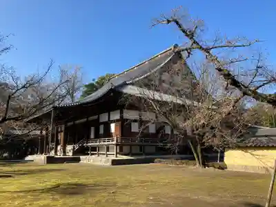 善導寺の本殿・本堂
