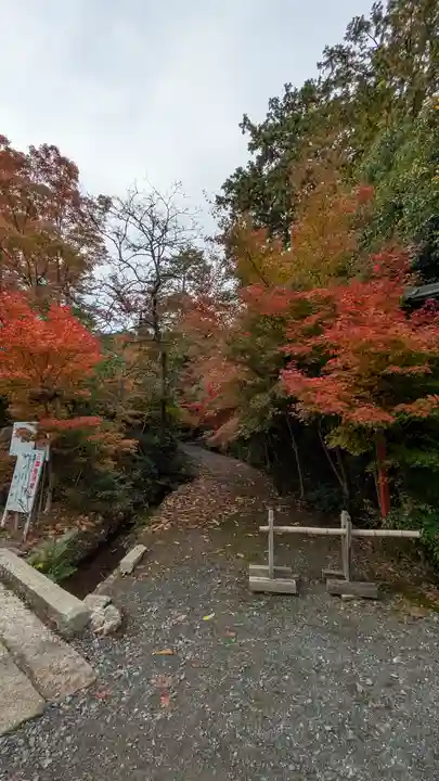 鍬山神社(京都府)