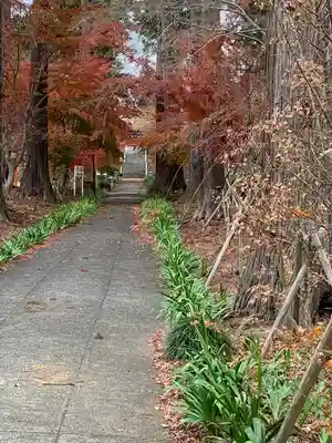八幡宮(茨城県)