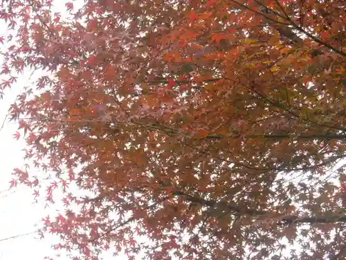 東勝寺跡の自然