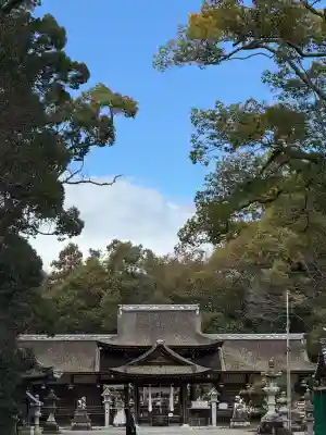兵主大社の{uncategorized: "未分類", other: "その他", undefined: "問題あり", building: "その他建物", grave: "お墓", sacred_gate: "鳥居", guardian: "狛犬", statue: "像", buddha: "仏像", history: "歴史", nature: "自然", garden: "庭園", animal: "動物", pagoda: "塔", temizu: "手水舎", mountain_gate: "山門・神門", sanctuary: "本殿・本堂", subordinate: "末社・摂社", art: "芸術", scenery: "景色", jizo: "地蔵", ema: "絵馬", goshuin: "御朱印", omikuji: "おみくじ", items: "授与品その他", amulet: "お守り", goshuincho: "御朱印帳", eats: "食事", festival: "お祭り", votive_dance: "神楽", shichigosan: "七五三参", wedding: "結婚式", experience: "体験その他", initially: "初詣", around: "周辺", anti_infection: "感染症対策"}